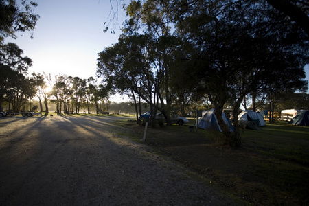 Molloy Caravan Park - Tourism Adelaide 3