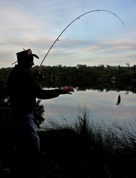 Molloy Caravan Park - Tourism Adelaide 5