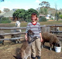 Kemminup Farm - Tourism Adelaide