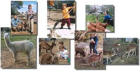 Kemminup Farm - Tourism Adelaide 2