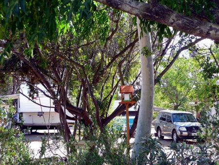 Kojonup Caravan Park - Tourism Adelaide 1