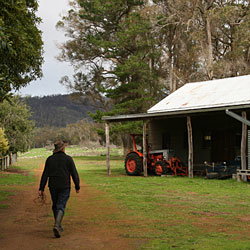 Bolganup Homestead - Tourism Adelaide 2