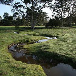 Bolganup Homestead - Tourism Adelaide 3
