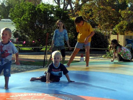Pink Lake Tourist Park - Tourism Adelaide 1