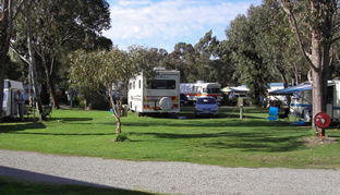 Pinjarra Caravan Park - Tourism Adelaide 0
