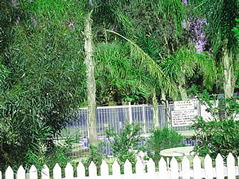 Pinjarra Caravan Park - Tourism Adelaide 3