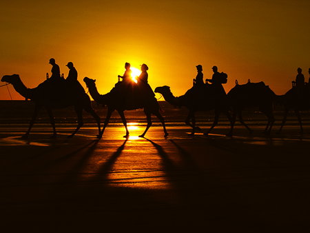Oaks Broome - Tourism Adelaide 2