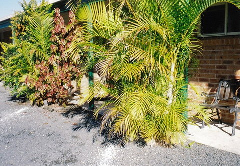 Bulahdelah Myall Motel - Tourism Adelaide 4