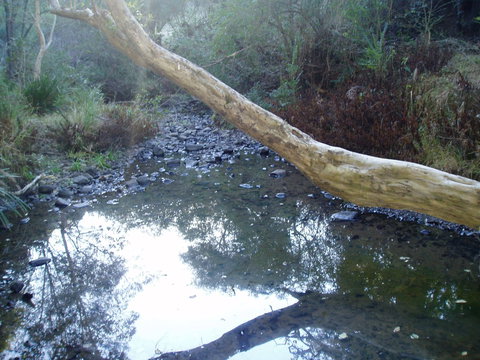 Barkeldine Farm Country Retreat - Tourism Adelaide 1