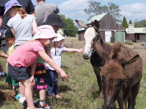 Barkeldine Farm Country Retreat - Tourism Adelaide 2