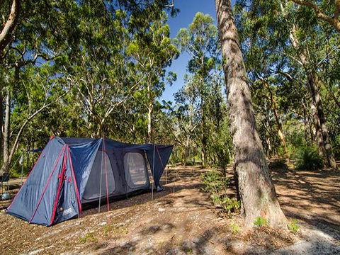 Boomeri Campground - Tourism Adelaide 1