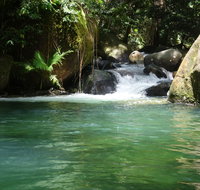Daintree Secrets Rainforest Sanctuary - Tourism Adelaide
