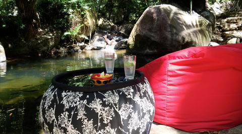 Daintree Secrets Rainforest Sanctuary - Tourism Adelaide 1