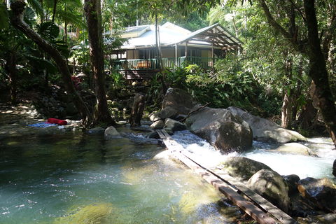 Daintree Secrets Rainforest Sanctuary - Tourism Adelaide 2