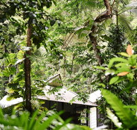 Daintree Ecolodge - Tourism Adelaide
