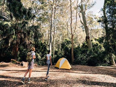 Depot Beach Campground - Tourism Adelaide 0