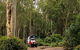 Depot Beach Campground - thumb 2