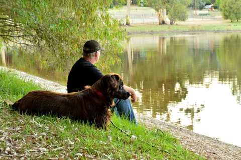 Diamond Forest Farm Stay - Tourism Adelaide 2