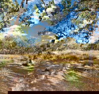 Kings Plains Creek campground - Tourism Adelaide