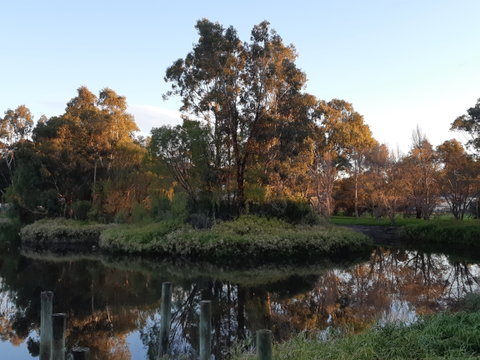 McLaren Vale Lakeside Caravan Park - Tourism Adelaide 1