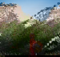 Sandstone Park Carnarvon Gorge - Tourism Adelaide