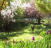 Sofala Cottage - Tourism Adelaide