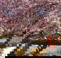 Sol Y Vista - Tourism Adelaide