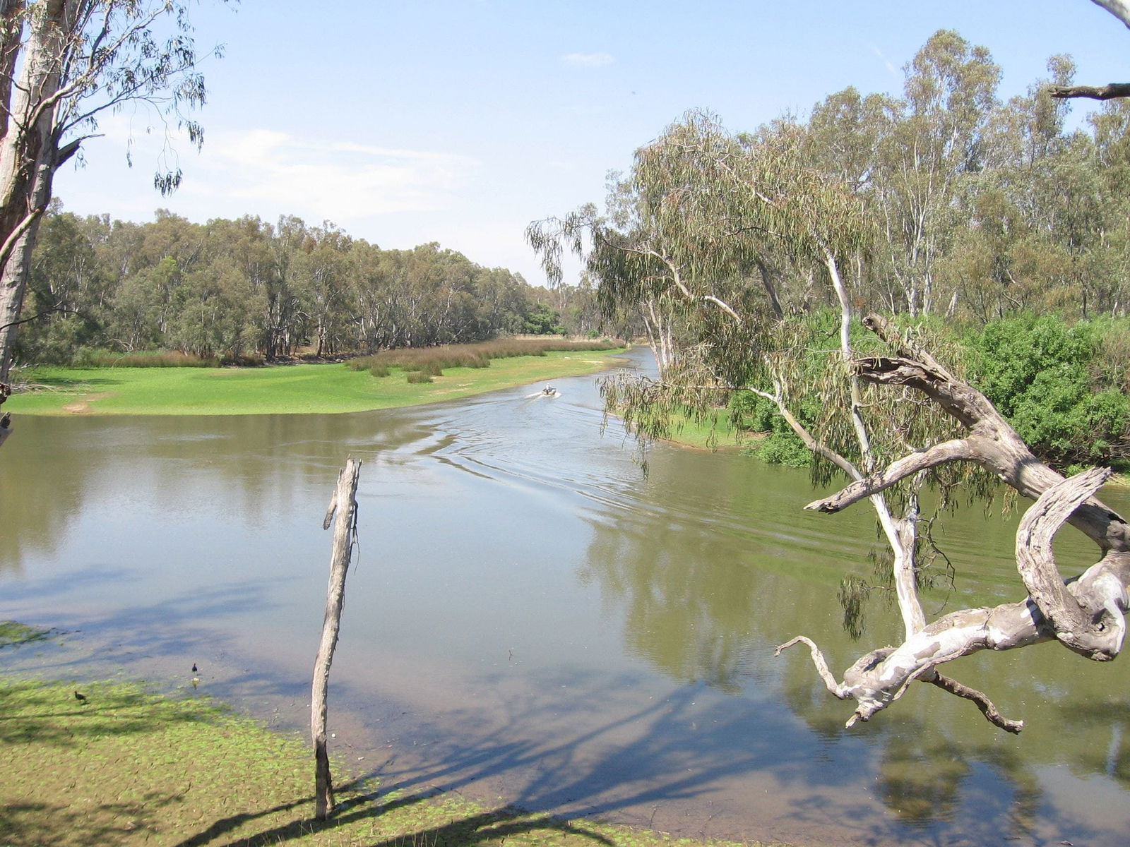 Collendina NSW Tourism Adelaide