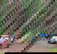 Wallingat River campground - Tourism Adelaide