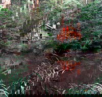 Woodlands Rainforest Retreat - Tourism Adelaide