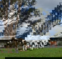 Woodenbong B and B - Tourism Adelaide