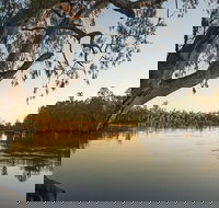 Woperana campground - Tourism Adelaide