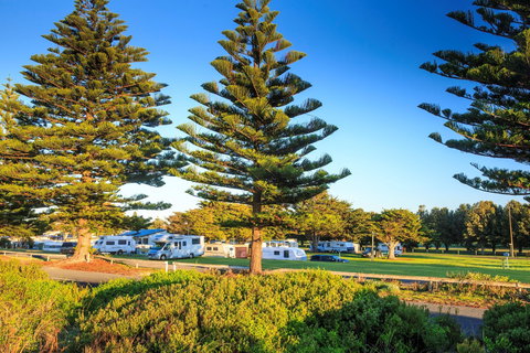 Beachport Caravan Park - Tourism Adelaide 1