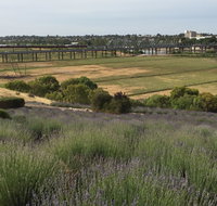 Brayfield Cottage - Tourism Adelaide