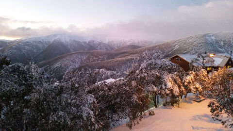 Cedarwood Apartments - Tourism Adelaide 1