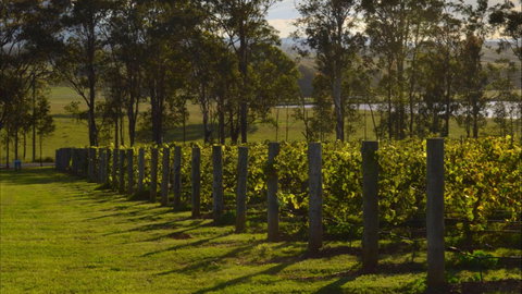 H Boutique Hotel - Tourism Adelaide 0