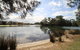 Ray Of Sunshine-Waterfront Reserve - thumb 1