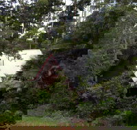 Turkeys Nest Rainforest Cottages Mt Glorious - Tourism Adelaide