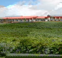 Turners Vineyard Motel - Tourism Adelaide