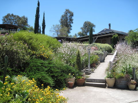 Valley View Cottage Hunter Valley - Tourism Adelaide 0