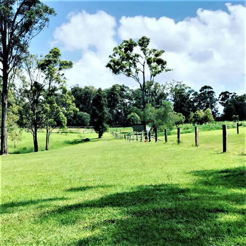 Sunshine Coast Farm Stay  - Tourism Adelaide 3