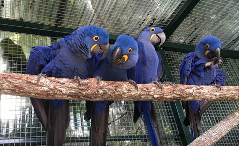 Ashmore Palms Holiday Village - Tourism Adelaide 2