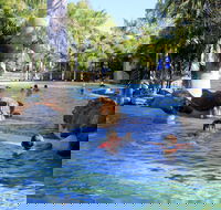Big4 Aussie Outback Oasis Holiday Park - Tourism Adelaide