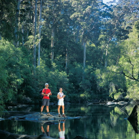 Drafty's Camp At Warren National Park - Tourism Adelaide 0