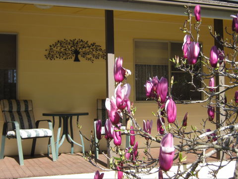 Figtree Cottage - Tourism Adelaide 1