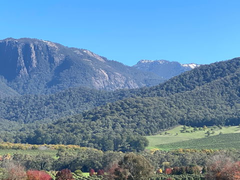 Mad On The Buckland - Tourism Adelaide 0