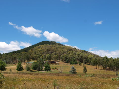 Mad On The Buckland - Tourism Adelaide 1