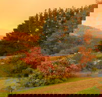 Red Rooster Host Farm - Tourism Adelaide