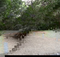 Springbrook National Park camping - Tourism Adelaide