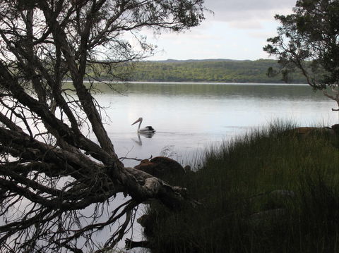 The Cove - Tourism Adelaide 0